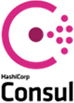 Hashicorp Consul Logo